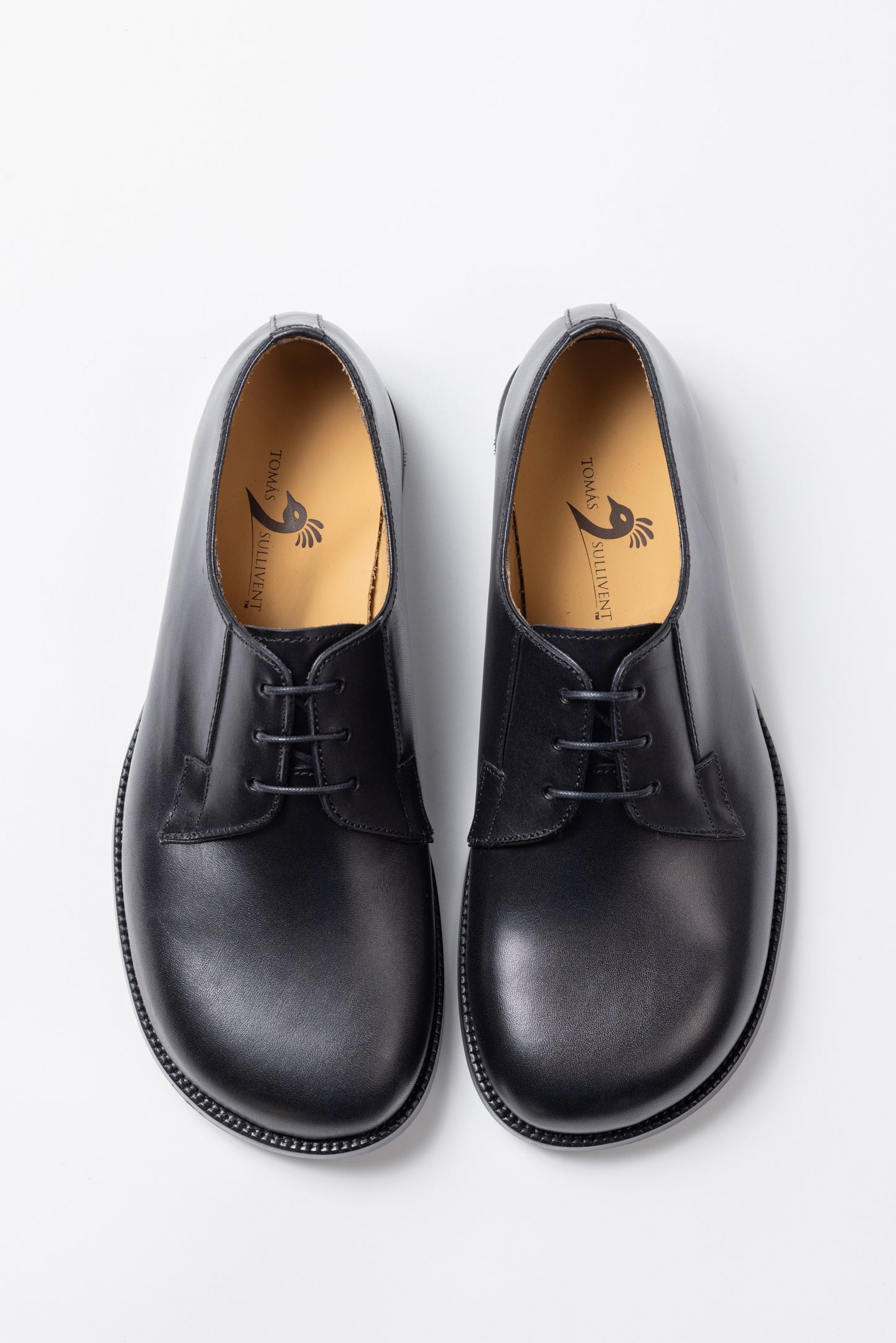 Pair of black leather shoes on a white background