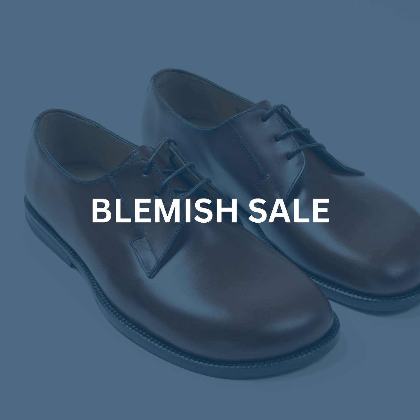 Blemish Sale - Whitman