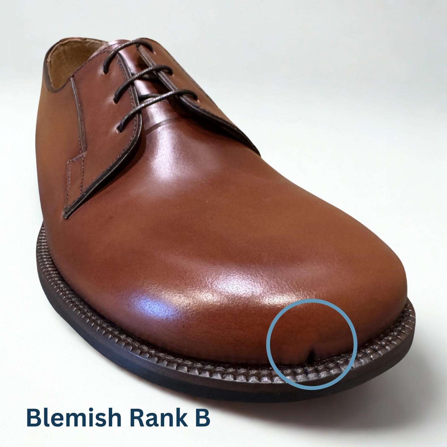 Blemish Sale - Whitman